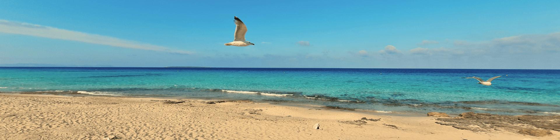 formentera-231_3.png