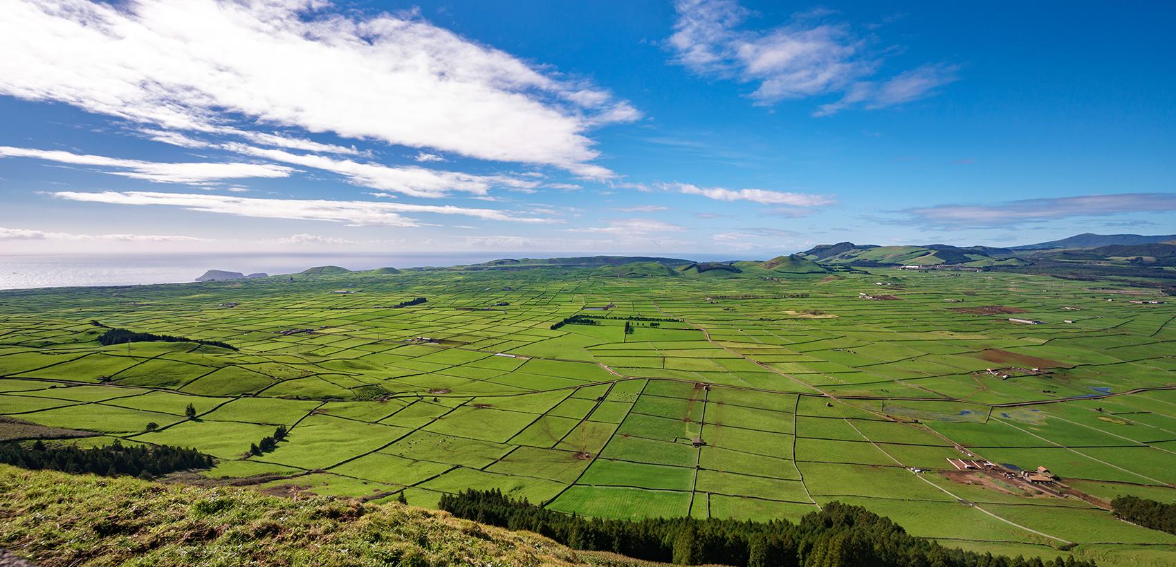Terceira