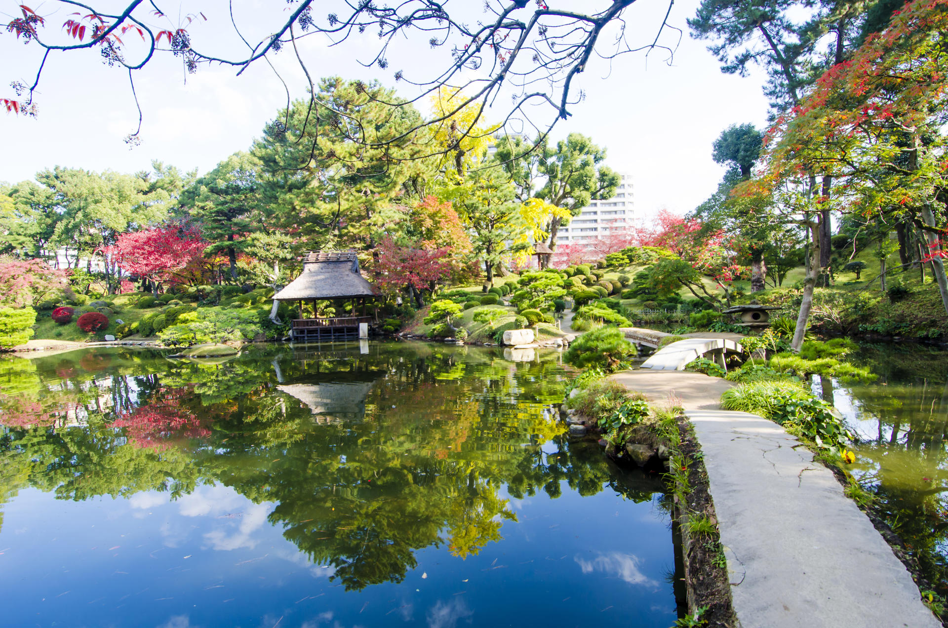 contrastes-do-japao-partidas-de-lisboa-ek_1.jpg