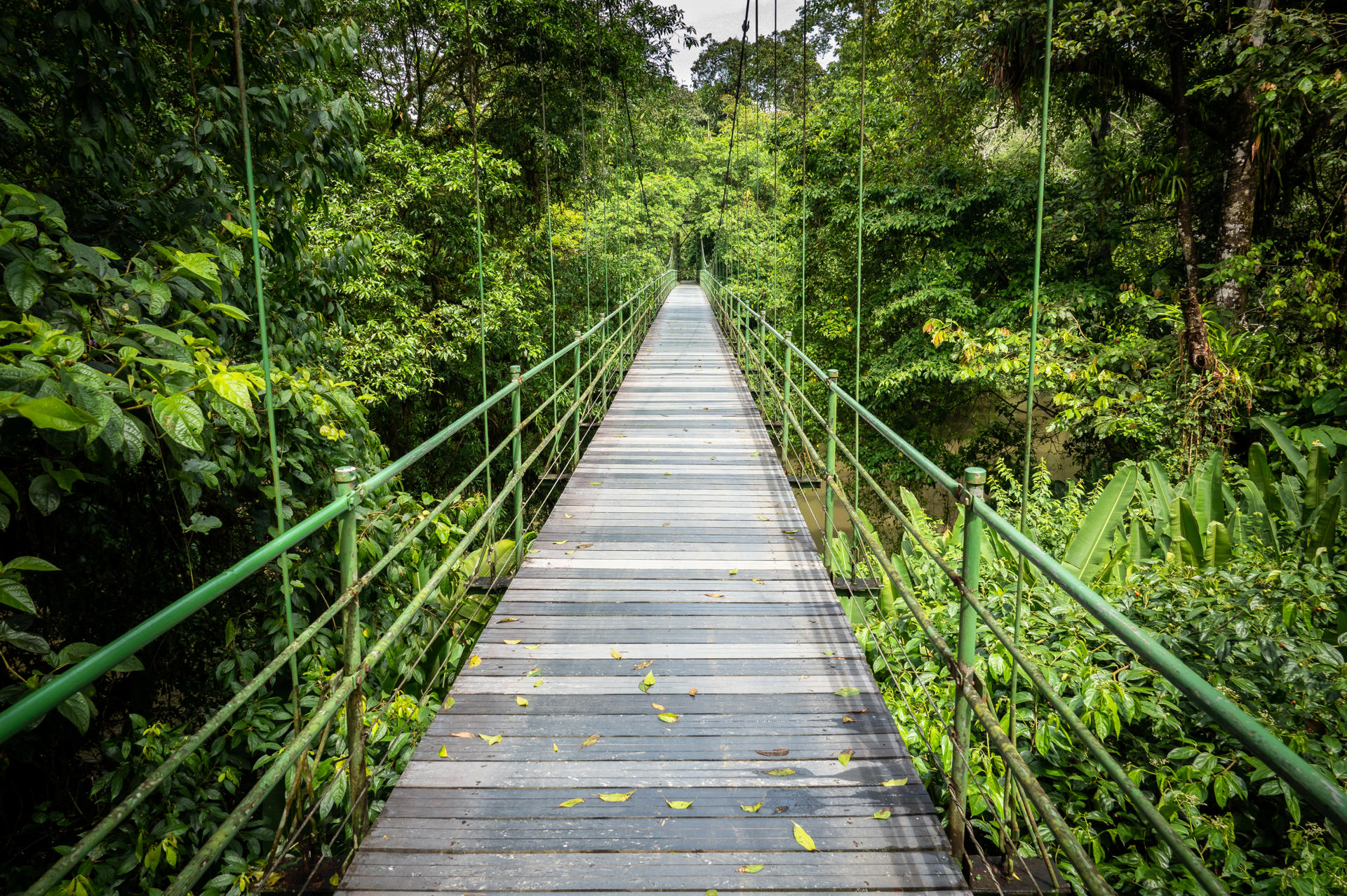 costa-rica-com-encanto-e-manuel-antonio-14082_1.jpg