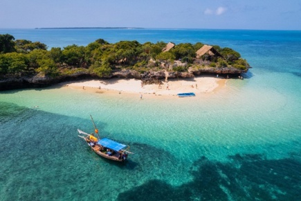 zanzibar-essence_0.jpg