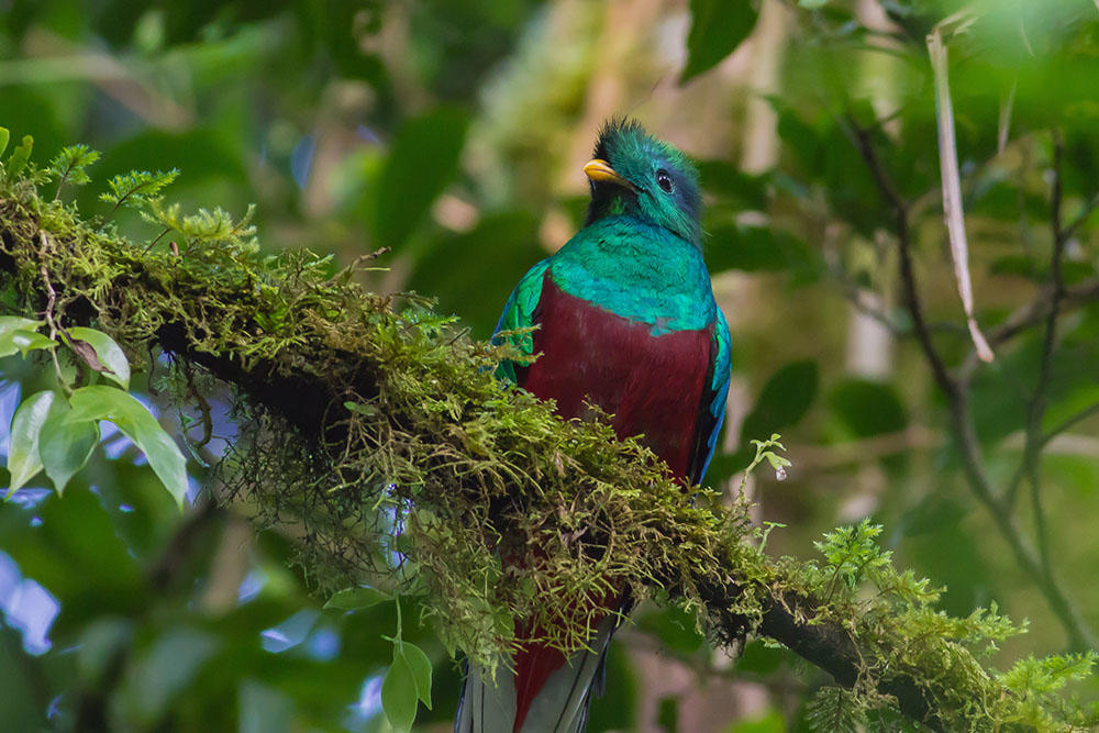 costa-rica-do-caribe-ao-pacifico-897_3.jpg