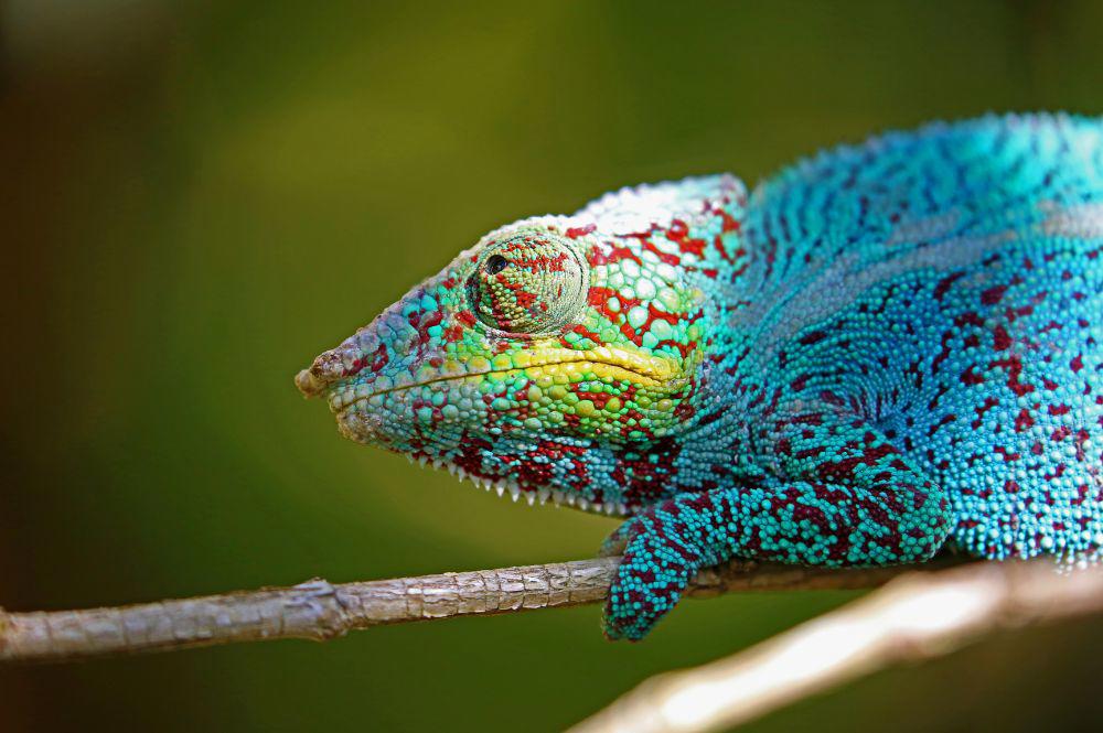 madagascar-praias-de-nosy-be-1350_2.jpg